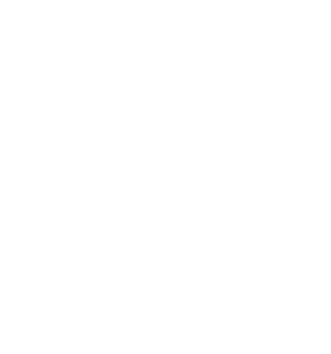 Superior Mindset
